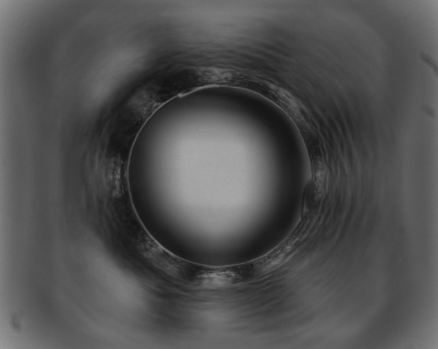 X0000093210525200709261559
