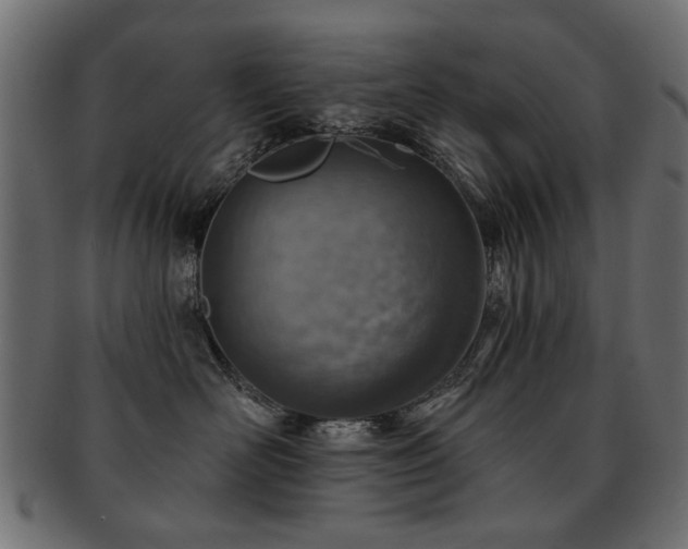 X0000093210526200709261559