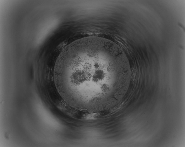 X0000093210527200709261559