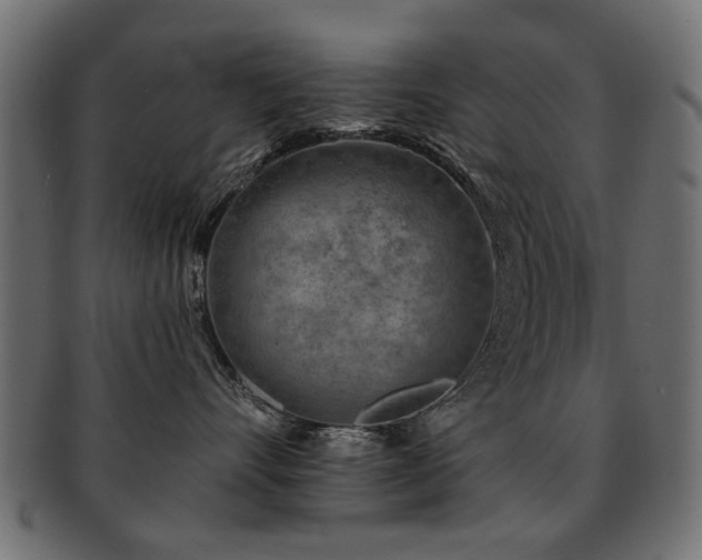 X0000093210528200709261559