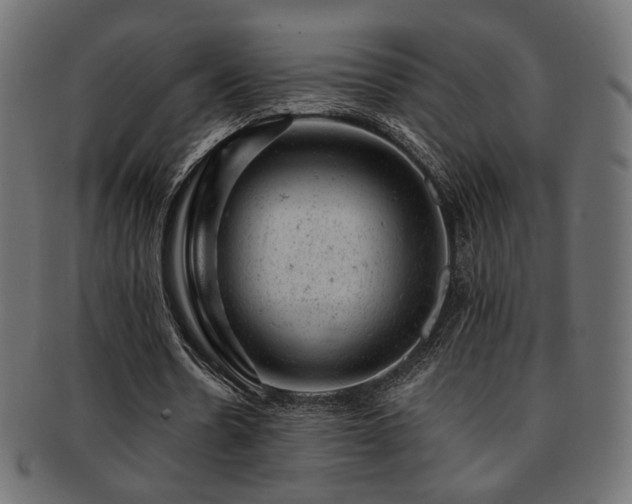X0000093210530200709261558