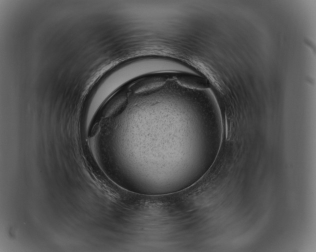 X0000093210531200709261558