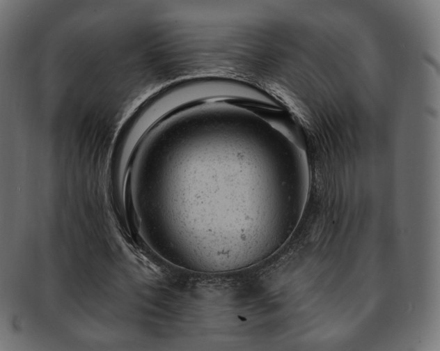 X0000093210532200709261558