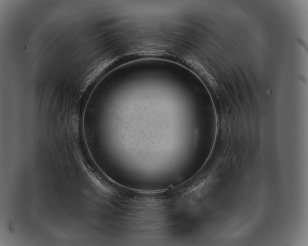 X0000093210533200709261558