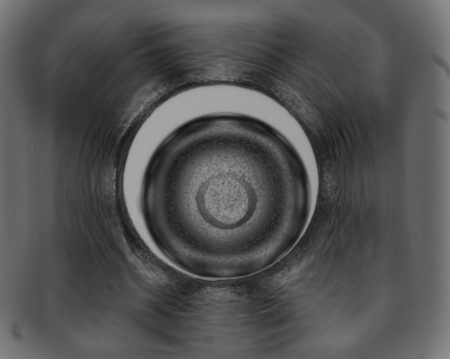 X0000093210534200709261558