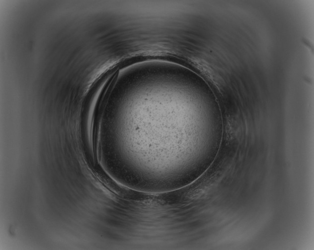 X0000093210535200709261558