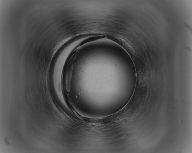X0000093210536200709261558