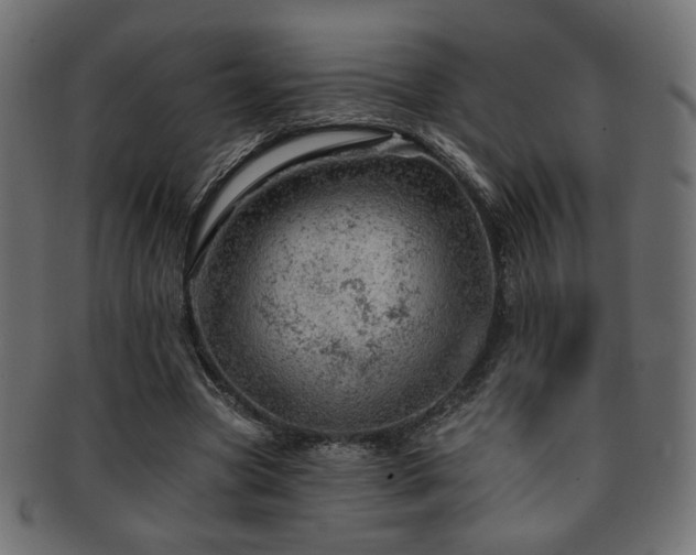 X0000093210537200709261558