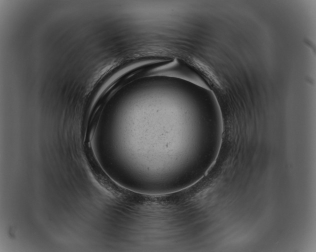 X0000093210538200709261558