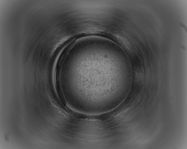 X0000093210539200709261558