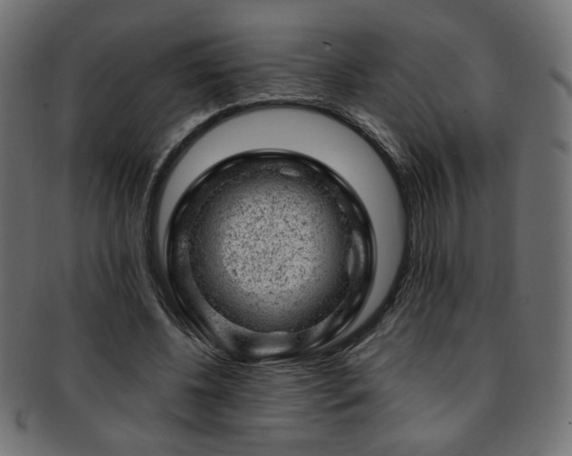 X0000093210540200709261558