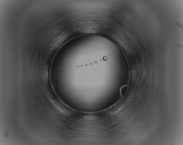 X0000093210541200709261558