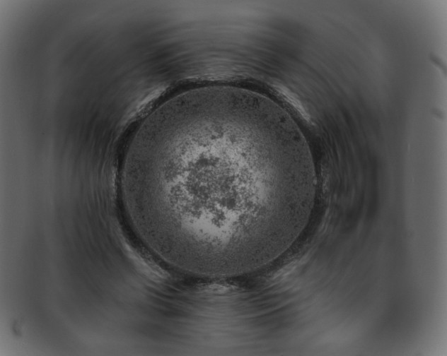 X0000093210542200709261558
