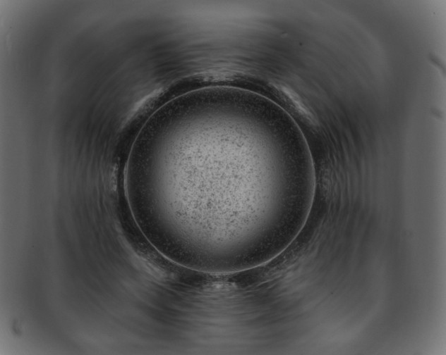 X0000093210543200709261558