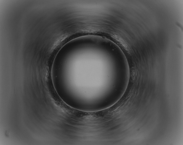 X0000093210544200709261558