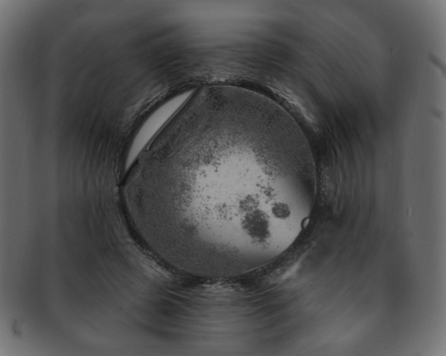 X0000093210545200709261558