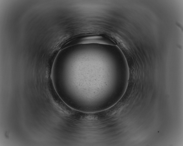X0000093210546200709261559