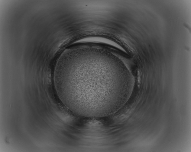 X0000093210547200709261559
