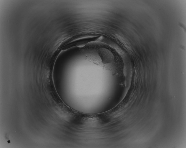 X0000093210548200709261559