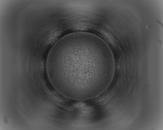 X0000093210551200709261559
