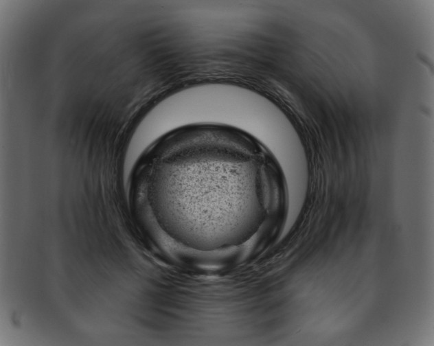 X0000093210552200709261559