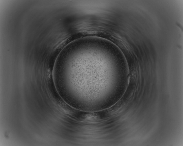 X0000093210555200709261559