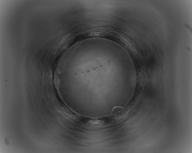 X0000093210557200709261559