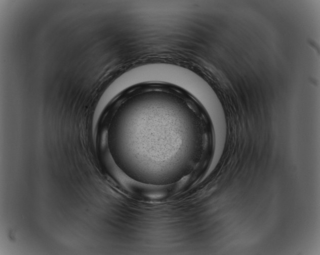 X0000093210558200709261559