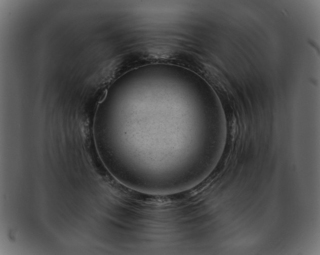 X0000093210559200709261559