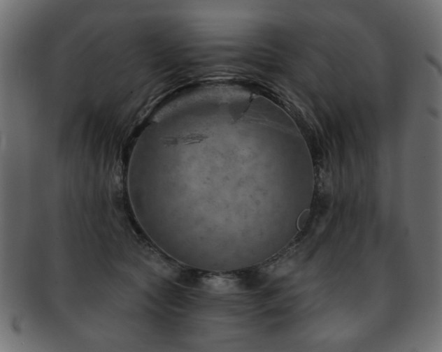 X0000093210561200709261559