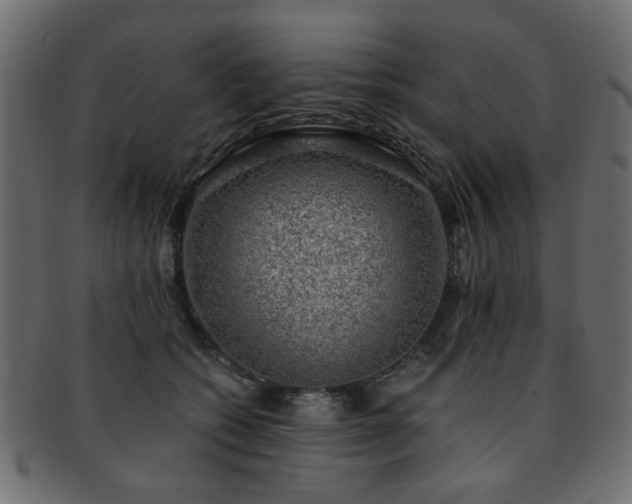 X0000093210562200709261559