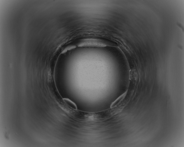 X0000093210564200709261559