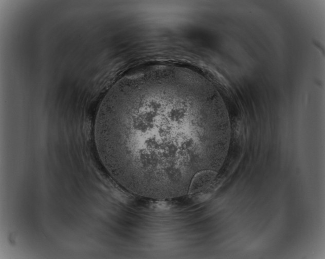 X0000093210565200709261559