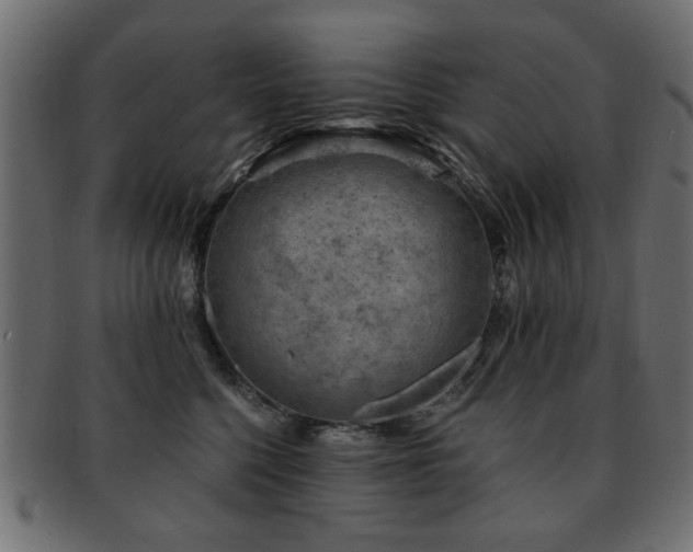 X0000093210568200709261559