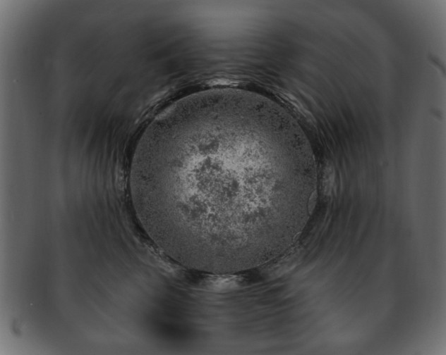 X0000093210569200709261559