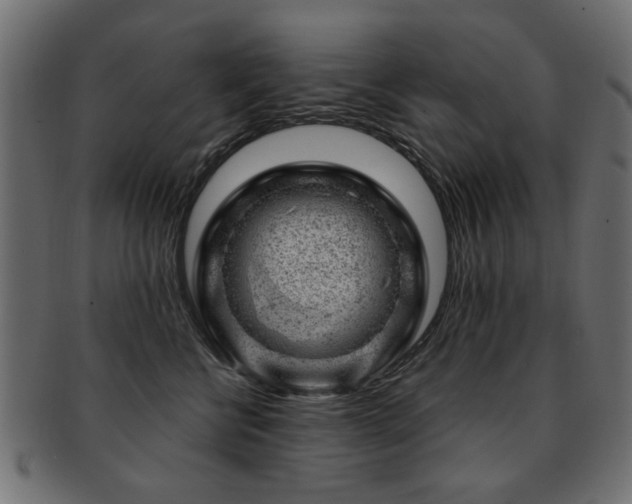 X0000093210570200709261559