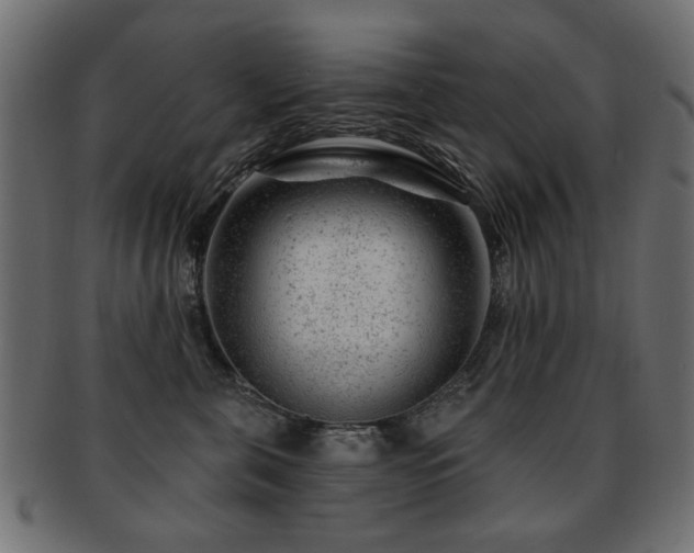 X0000093210571200709261559