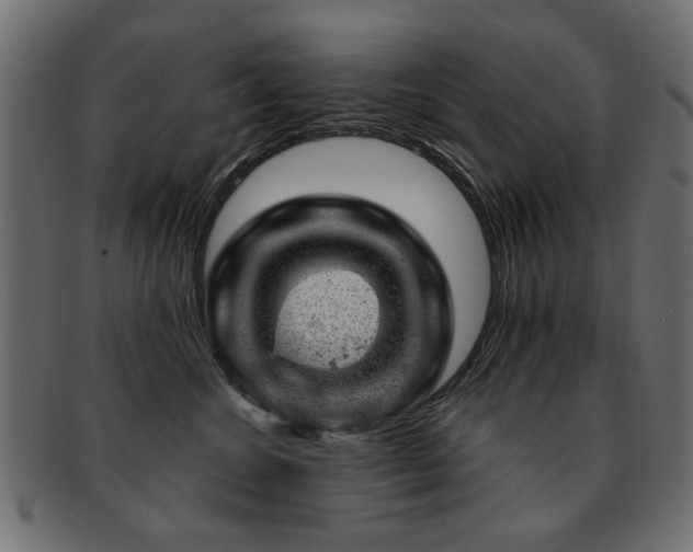 X0000093210572200709261559