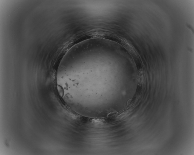 X0000093210573200709261559