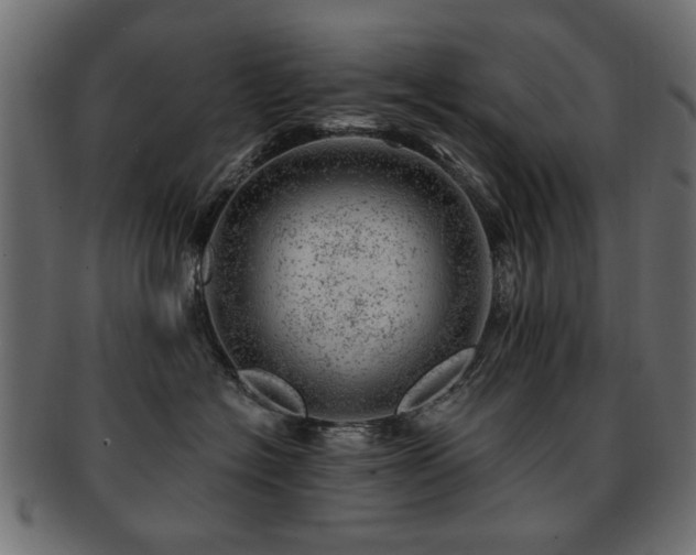 X0000093210574200709261559