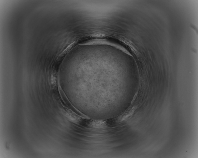 X0000093210576200709261559