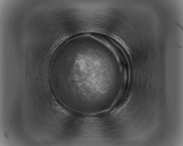 X0000093210577200709261558