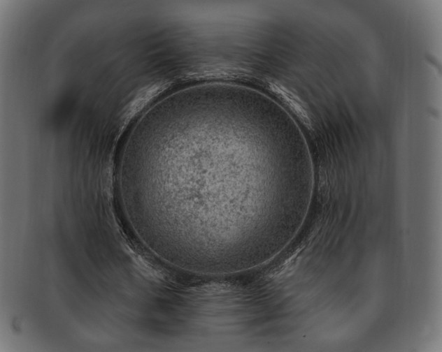 X0000093210578200709261558
