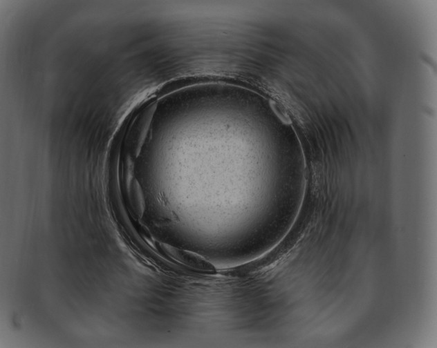 X0000093210580200709261558