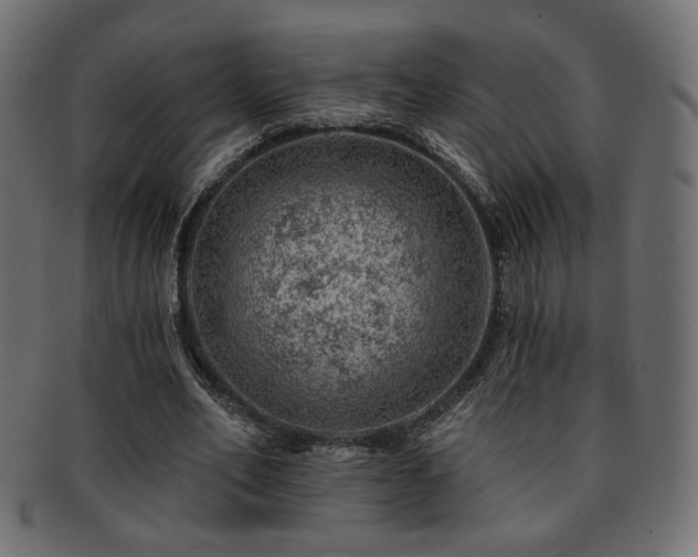 X0000093210582200709261558