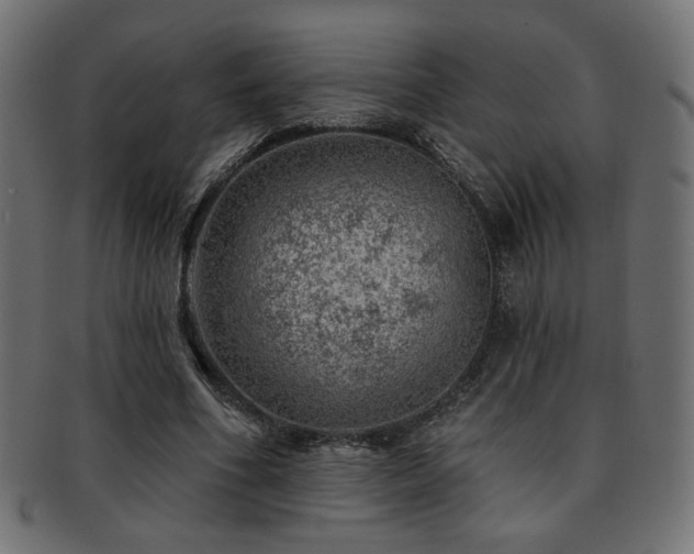 X0000093210586200709261558