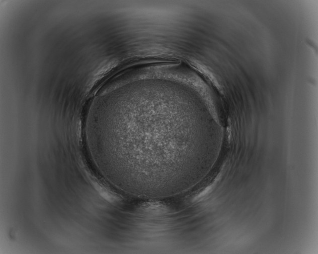 X0000093210589200709261558