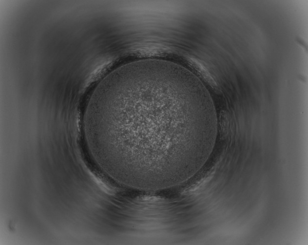 X0000093210590200709261558