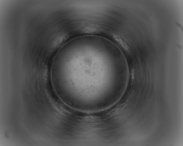 X0000093210591200709261558