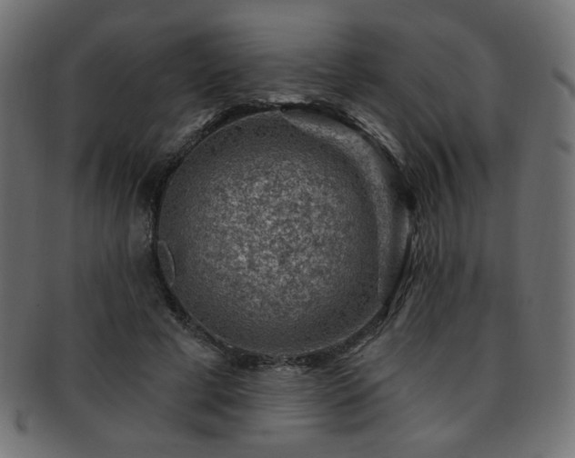 X0000093210593200709261558